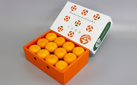 【期間限定発送】今村農園のハウスみかん 約2.5kg【秀品】 2025年 7月 夏 発送 期間限定 ＜107-007_7＞