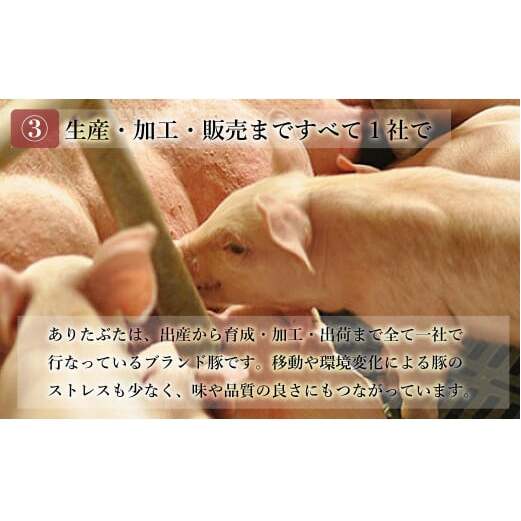 【人気！豚肉6種セット】ありたぶた バラエティAセット (豚肉6種) 小分け 真空パック 豚肉 ロース バラ ウインナー ソーセージ ハンバーグ N14-6_イメージ5