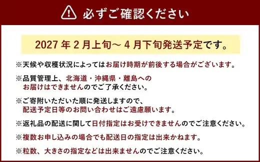 あまおう ボリュームセット 6パック【2027年2月上旬～4月下旬発送予定】