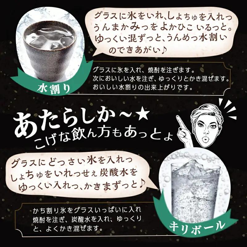 都城焼酎!12本堪能セット≪みやこんじょ特急便≫〔AG-2201〕_(都城市) 本格芋焼酎 麦焼酎 白霧島 黒霧島 黒霧島EX 赤霧島 茜霧島 虎斑霧島 霧島するる 霧島ほろる KIRISHIMA N