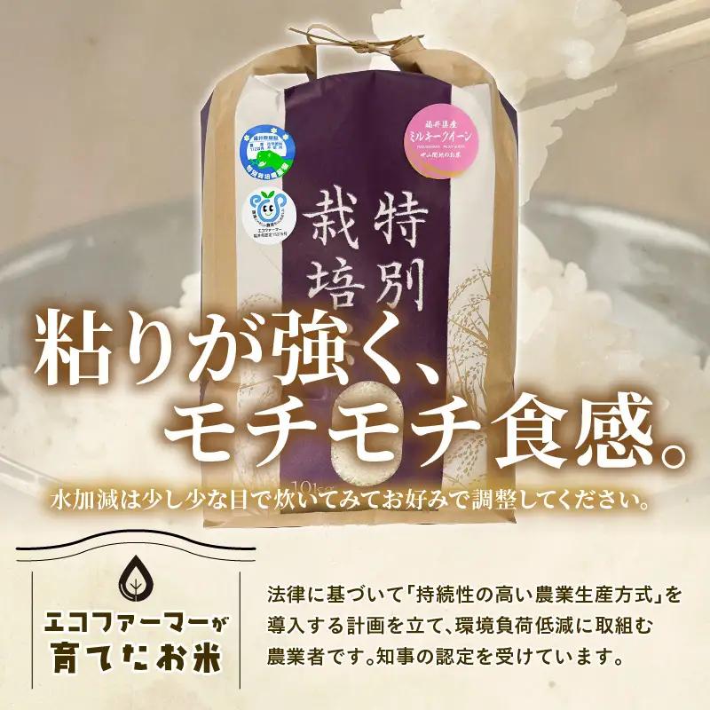 【先行予約】【令和8年産】【定期便6回】≪6ヶ月連続お届け≫ 化学肥料不使用 ミルキークイーン 精米 10kg × 6回（合計60kg）※2026年10月上旬より順次発送予定 [aw010-l002]