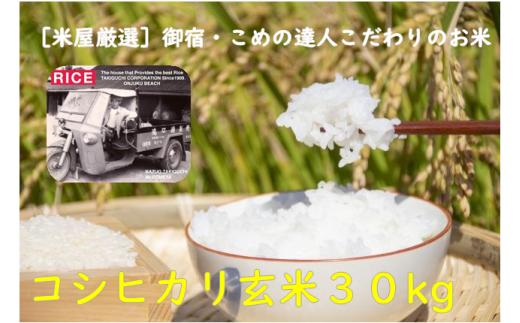 コメアミーゴこだわりのおんじゅく米コシヒカリ３０ｋｇ（玄米）