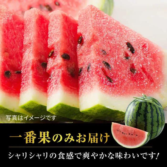 熊本スイカ先行予約 大玉すいかLサイズ西瓜スイカZCM001