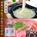 【ふるさと納税】【冬季限定】手延べ半生梅うどん 2食×2袋 あごだしスープ付 / うどん ウドン 半生 半生うどん 乾麺 あごだし 梅 / 南島原市 / ふるせ [SAQ007]