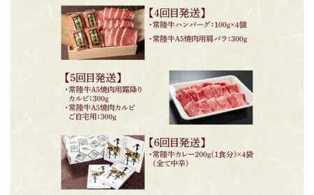 DU-111　【定期便 全12回】茨城県産 常陸牛 12ヶ月 定期便 Aコース ハンバーグ 焼肉 すき焼き しゃぶしゃぶ コンビーフ レトルトカレー【肉のイイジマ】