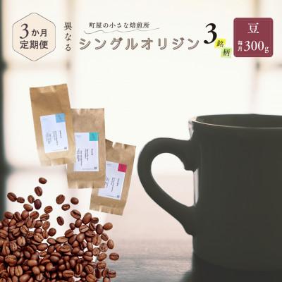 ふるさと納税 村上市 【毎月定期便】シングルオリジンコーヒー100g × 3品種(豆)計300g　1075021全3回