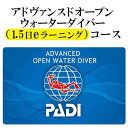 【ふるさと納税】チケット PADIダイビング講習 ｜ 1.5日 eラーニング 「 アドバンス 」or「 ディープダイバー 」コース 【恩納村ラグーン】 | 券 チケット ダイビング 体験 アクティビティ リゾート ふるさと納税 万座 恩納村 沖縄人気 おすすめ 送料無料