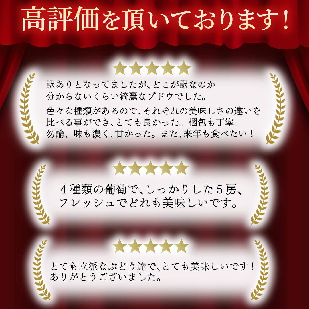 ＼訳あり ご家庭用／大粒ぶどう（種なし）詰合せ 合計 3～5房入 ブドウ 葡萄 フルーツ 果物 旬 わけあり 先行予約 食べ比べ (DM004)
