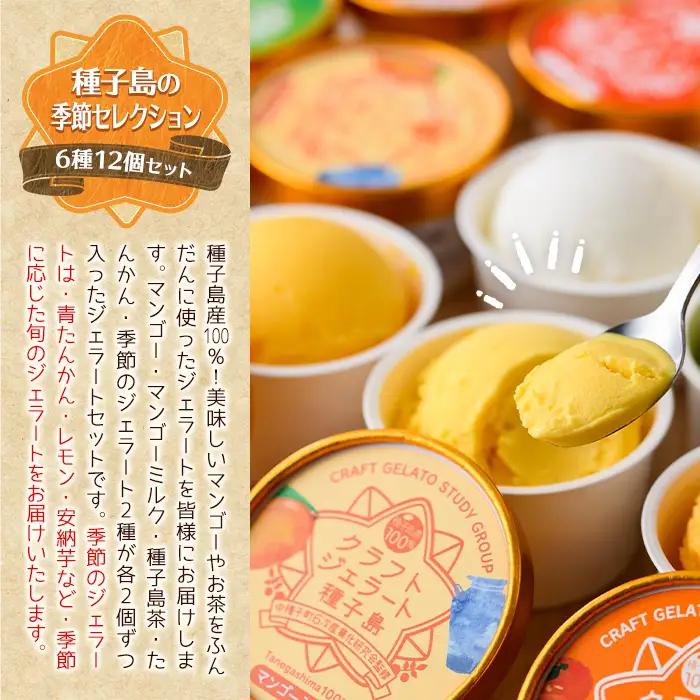 n202 ＜季節セレクション＞ クラフト ジェラート 詰め合わせ 計12個・6種 ×各2個 アイス マンゴー ミルク たんかん 種子島茶 【やまうら農園】
