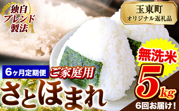 【6ヶ月定期便】熊本県産 さとほまれ 無洗米 ご家庭用 定期便 5kg 《お申込み月の翌月から出荷開始》熊本県 玉名郡 玉東町 米 こめ コメ ブレンド米 送料無料---gkt_sthmltei_5kg_87000_mo6---
