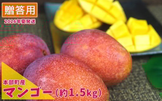 【2026年夏発送】もとぶ町産マンゴー（贈答用）約1.5kg詰め フルーツ 果物 期間限定 数量限定 先行予約 南国 プレゼント お土産 おみやげ ギフト くだもの 沖縄 おきなわ 青果 デザート おすすめ 人気 冷蔵 夏 スイーツ