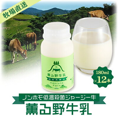【ふるさと納税】【牧場直送】薫る野牛乳180ml×12本　ノンホモ低温殺菌ジャージー牛　山地酪農24時間365日放牧【配送不可地域：離島】【1551093】
