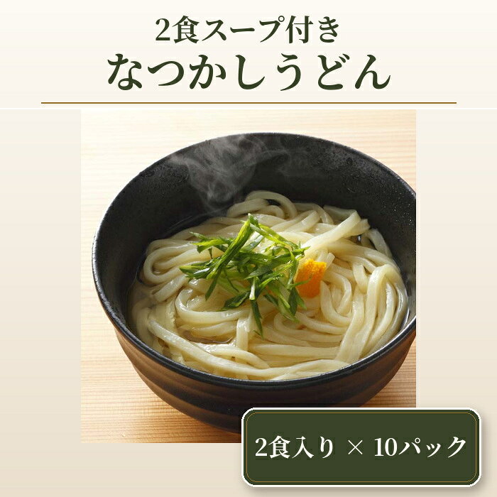【ふるさと納税】 2食スープ付き　なつかしうどん　10パック ／ コシ 麺類 もっちり 送料無料 埼玉県 No.411
