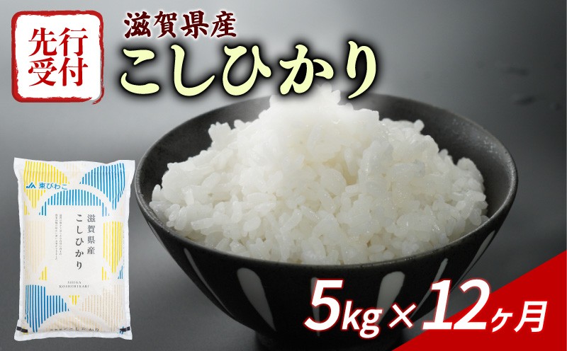 
                  【令和8年産】 先行予約 新米 こしひかり 5kg 12回定期便 令和8年産 定期便 米 精米 こめ コメ お米 ご飯 米 コシヒカリ 米定期便 12か月定期便 12ヶ月定期便 12回 12ヶ月 12か月 1年 1年定期便 滋賀 彦根 【米】
                