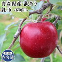 【ふるさと納税】≪内容量が選べる≫青森県産 訳あり 家庭用 甚八りんご 紅玉 3kg 5kg【青森県 平川市 マルジンサンアップル】10月発送 青森 青森県産 平川 りんご リンゴ 林檎 くだもの 果物 フルーツ レビューキャンペーン