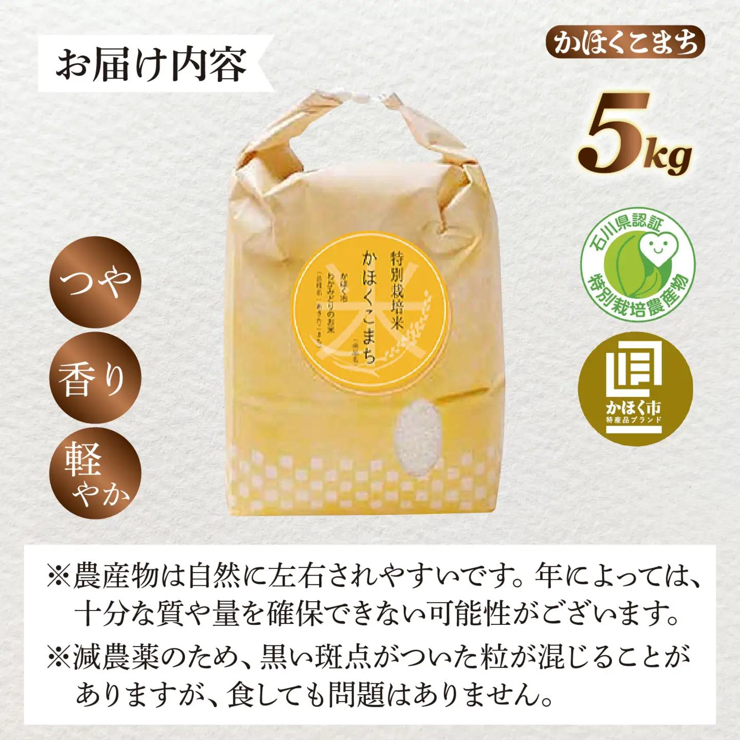 【令和8年産】 かほくこまち 5kg 【2026年11月配送】 | お米 米 かほくこまち