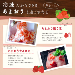 【2025年4月-10月発送】 あまおう 1kg 冷凍 いちご 冷凍 ｱｲｽ いちご あまおう いちご ｼｬｰﾍﾞｯﾄ いちご ONE004