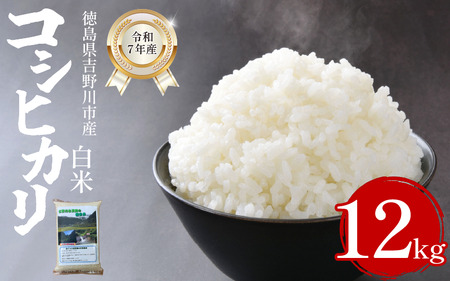 米 白米 12kg （2kg × 6袋 ）コシヒカリ 令和7年度産 米 米 米