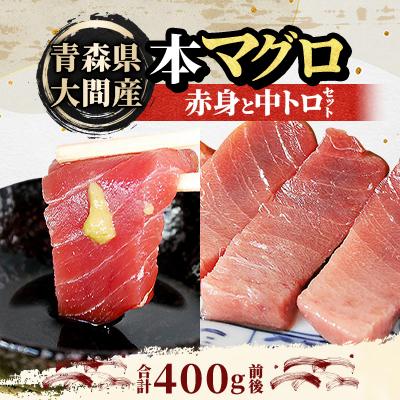 ふるさと納税 青森県 大間産本マグロ 赤身と中トロセット 各200g前後(合計400g前後)