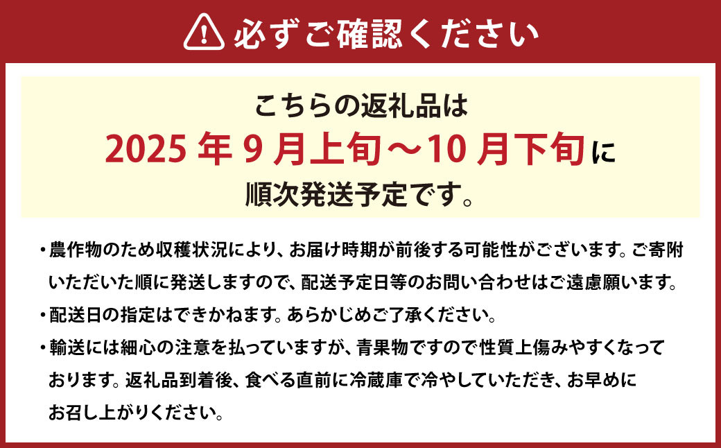 【ご家庭用】 シャインマスカット 2～3房 計約1.3kg 