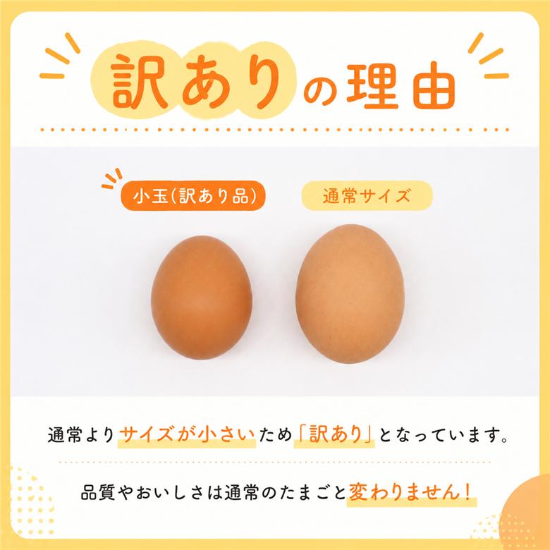 【訳あり】平飼い卵 40個入り (10個×4パック) | たまご 卵 タマゴ 鶏卵 たまごかけごはん 目玉焼き オムレツ 卵かけご飯 たまご焼き おいしい 人気 おすすめ  高知県 南国市