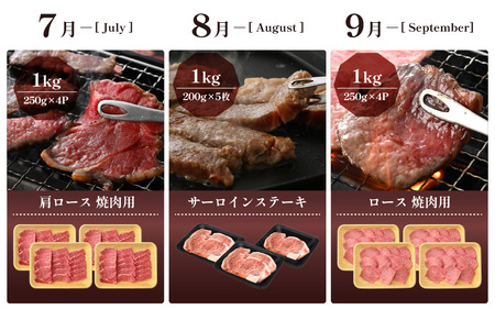 定期便 ≪12ヶ月連続お届け≫ 肉の定期便 肉好き満足！和牛 若狭牛ボリューム満点 厳選プレミアム 食べ比べ計14.6kg以上【 国産牛 ロース すき焼き しゃぶしゃぶ ハンバーグ サーロイン 焼肉 