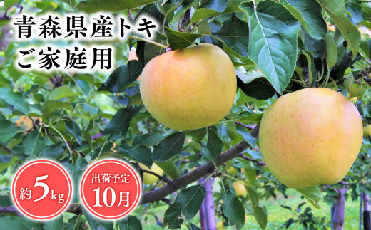 １０月発送　【訳あり】家庭用トキ5ｋｇ　【そと川りんご園・１０月・青森県産・平川市・りんご・トキ・5ｋｇ・訳あり・家庭用】
