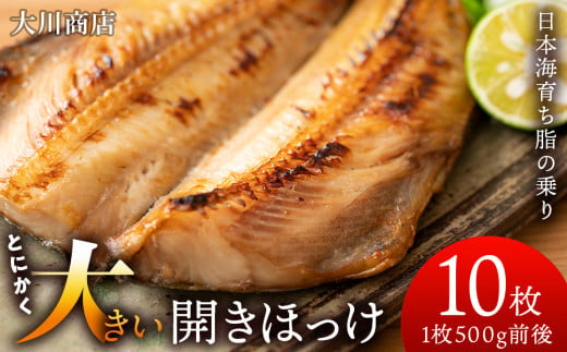 とにかく大きい 開きほっけ 10枚 セット ＜ 大川商店 ＞ ホッケ ほっけ 魚 北海道 干物 冷凍 北海道産