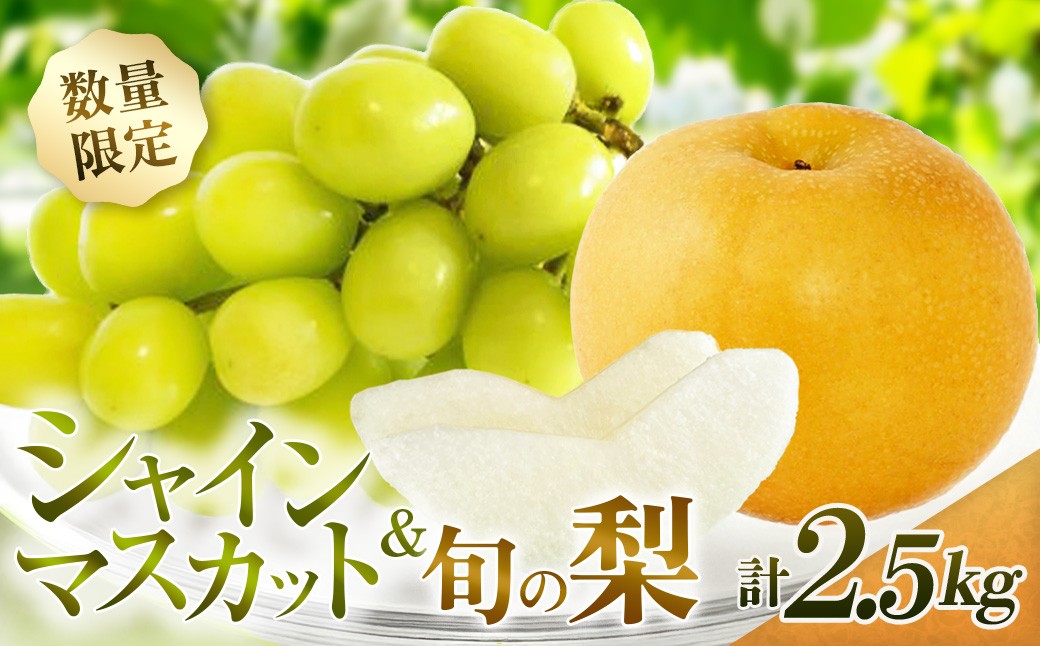 
                  【期間限定】旬の梨とシャインマスカット 食べ比べセット 約2.5kg (ぶどう フルーツ 果物 詰合せ フルーツセット 果物セット 豊水 新高 新興)
                