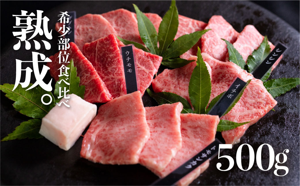 
飛騨牛 焼肉 熟成肉『山勇牛』 牛肉 和牛 おまかせ５種盛合せ 計500g 30日以上熟成
