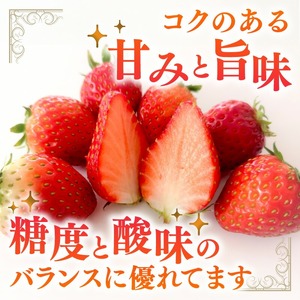 【1226_03】農家直送！大粒完熟まりひめ　いちご　2パック（3月発送）配送不可地域【北海道・沖縄・離島】