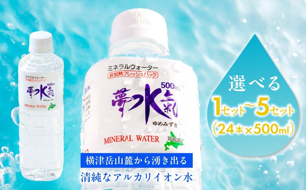 
                  選べるミネラルウォーター夢水氣（500ml×24本）1セット～5セット 天然アルカリイオン水 軟水 【ふるさと納税 人気 おすすめ ランキング 天然アルカリイオン水 天然水 ミネラルウォーター 横津岳山麓 北海道 七飯町 送料無料】 NABI001-1
                