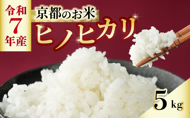 
            【数量限定】 米 ヒノヒカリ 5kg 京都 減農薬 ひのひかり 白米 お米 ごはん 久御山町 京都府 京都府産 令和7年度 
          