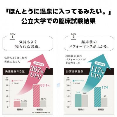 ふるさと納税 蒲郡市 ラジウム温泉の力を取り入れたホルミシス敷パッド(セミダブル)_【G0595】 |  | 02