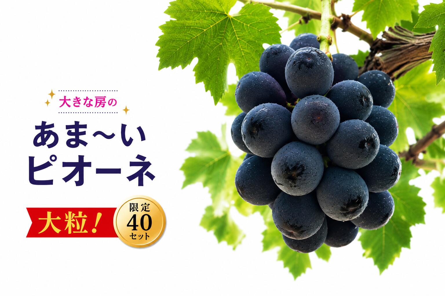 【ふるさと納税】 ピオーネ 3〜5房 約2kg 甘い 贈答 ギフト ぶどう フルーツ 果物 数量限定 送料無料 産地直送 【2026年発送】