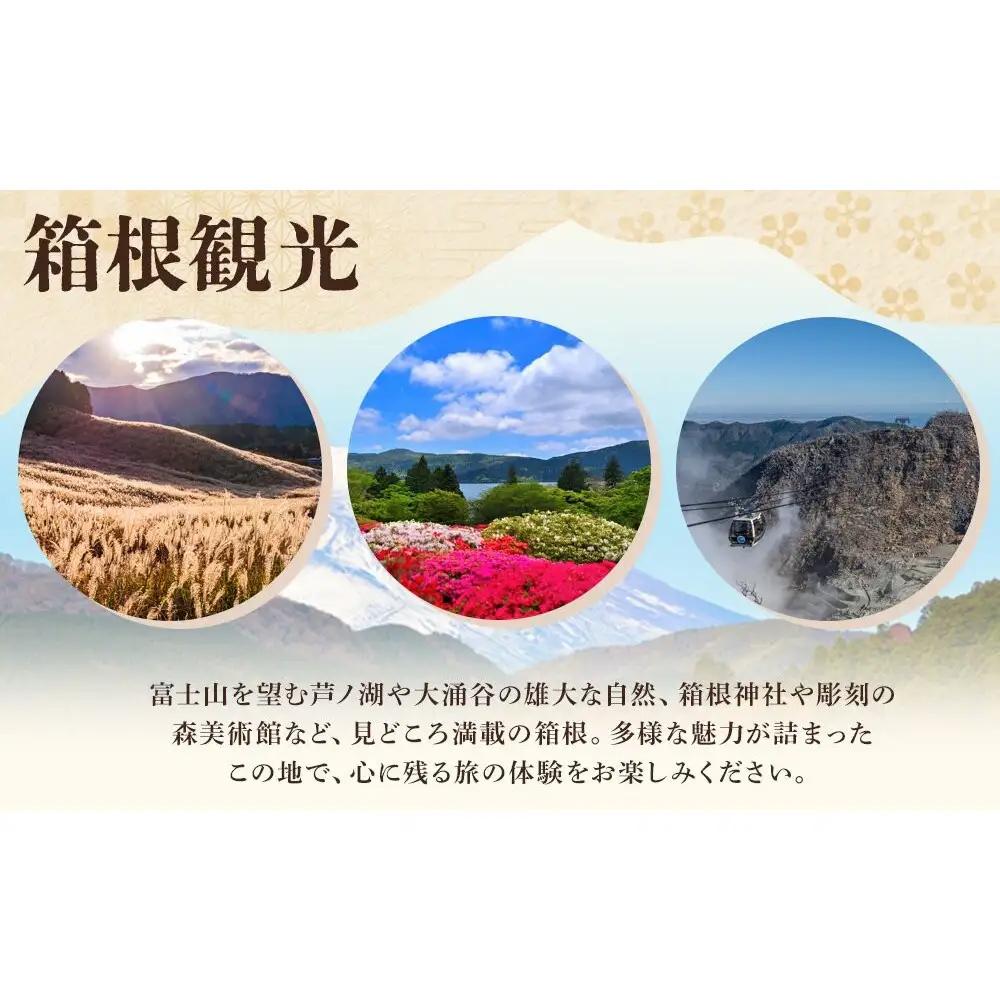富士屋ホテル ケーク　ショコラ