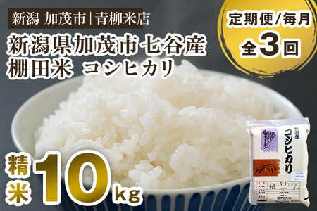 【令和6年産新米】【定期便3回毎月お届け】新潟産コシヒカリ 加茂市七谷産 棚田米 精米10kg（5kg×2）白米 真空パック 青柳米店 定期便 定期購入 定期 コシヒカリ 新潟県産コシヒカリ 米 お米コシヒカリ コシヒカリ コシヒカリ コシヒカリ コシヒカリ