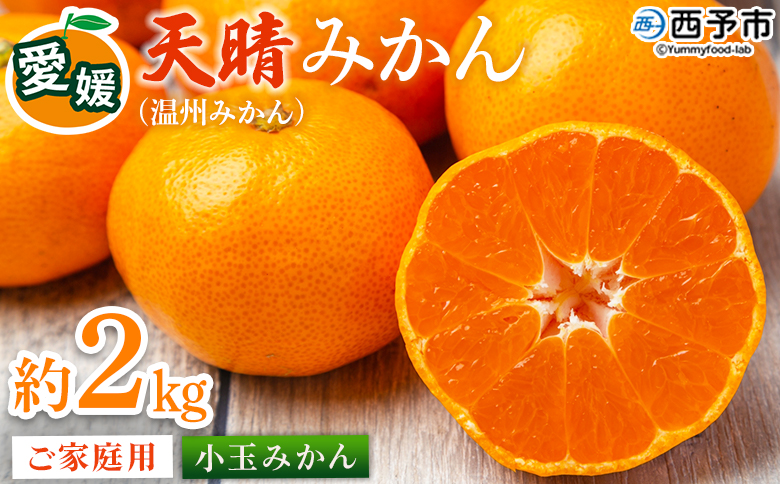 ＜愛媛県明浜産 天晴みかん（温州みかん）約2kg 小玉サイズ＞『2026年11月中旬～2027年1月上旬迄に順次出荷予定』 家庭用 訳あり ワケアリ 果物 くだもの フルーツ ミカン 柑橘 特産品 笑