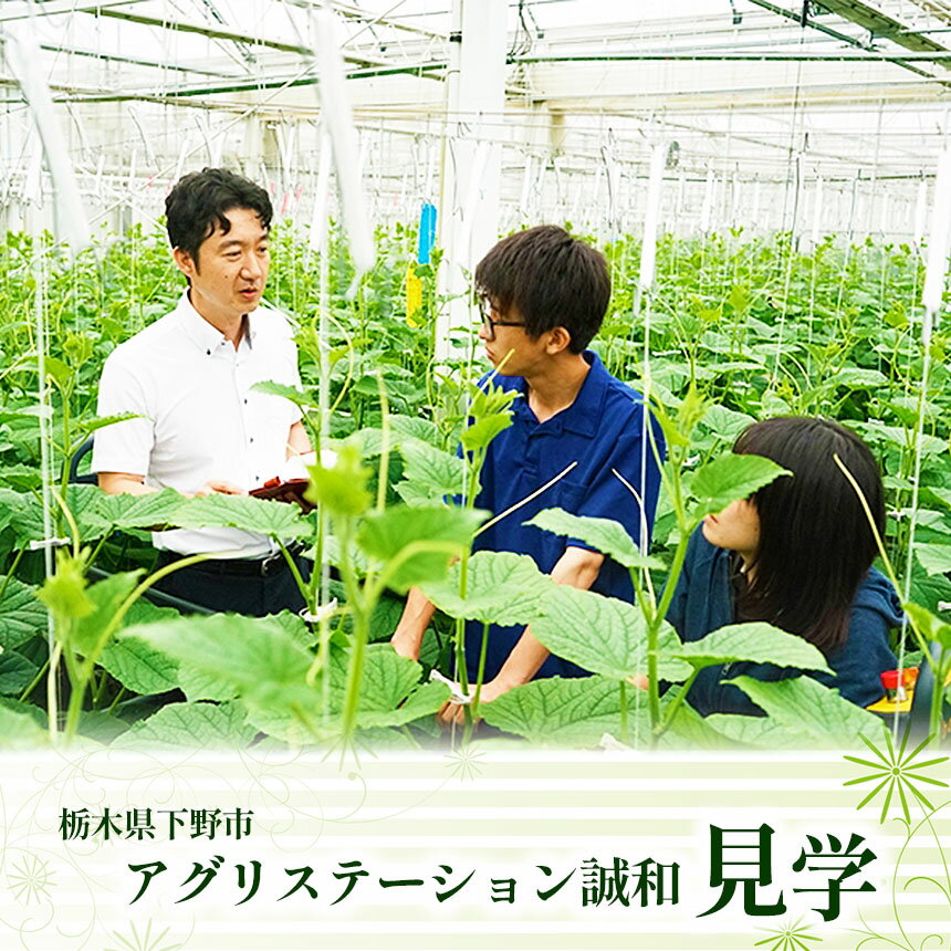 【ふるさと納税】アグリステーション 誠和 見学 （1名様分）体験 チケット｜ 栽培施設 園芸 最先端 栃木県 下野市