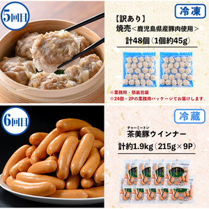 【6か月定期便】鹿児島協同食品バラエティ定期便 鹿児島黒豚生餃子 合計144個（12個×12P）茶美豚の角煮 1kg（250g×4P）茶美豚メンチカツ 2.7kg（90g×30個）サラダチキン約1.4