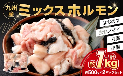 ミックスホルモン 約1.0kg（約500g×2パック）ホルモン 九州産 ミックス 丸腸 赤センマイ はちのす 小腸 冷凍 福岡県 北九州市