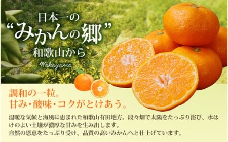 みかん 有田みかんプレミアム 約2kg【光センサー 高糖度選別品】2S～Lサイズ みかん 【nuk154G】