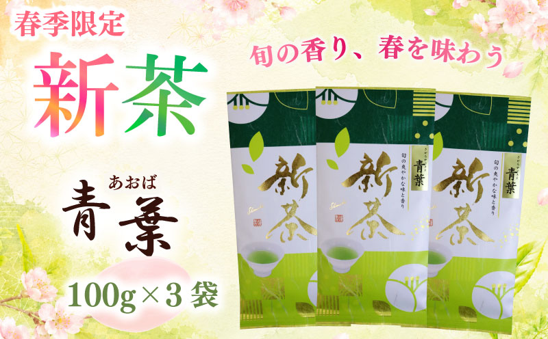 2026年度産 新茶 青葉100g×3袋 お茶 静岡 新茶 濃旨 緑茶 深蒸し茶 深蒸し 茶 水出し緑茶 水出し 静岡茶 日本茶 飲料 飲み物 ドリンク 深むし茶 煎茶 セット お茶 茶 深蒸し 煎茶 旬 日常 牧之原産 甘い コク 便利 簡単 お手軽 茶葉 静岡茶 牧之原茶 プレゼント 贈答 贈答品 贈り物 産地直送 国産 日本 人気 静岡 県 牧之原市 相良物産
