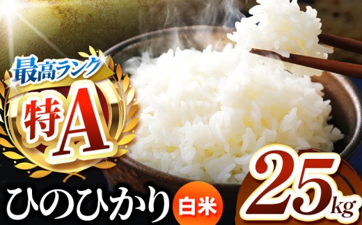 熊本県産 ひのひかり 白米 25kg | お米 精米 白米 ヒノヒカリ お米 お米 送料無料 お米 熊本  くまもと お米  熊本県  国産 KOKUSAN 国産米 熊本県 玉名市