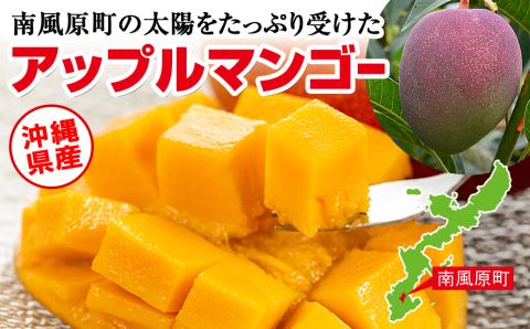 【2024年発送】生産組合が育てる南風原の味　神里マンゴー1kg