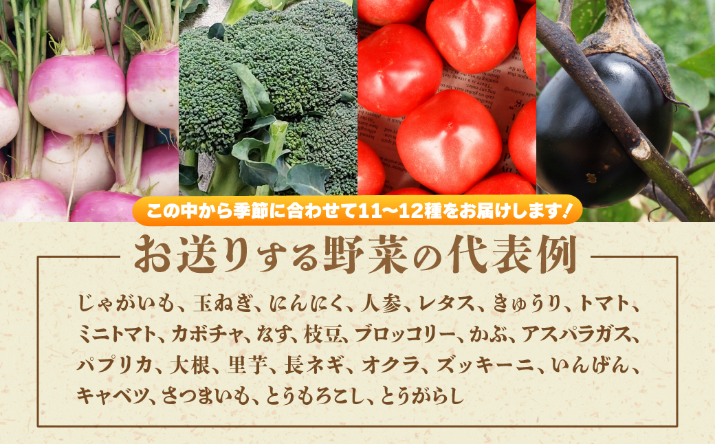旬の野菜詰め合わせ11種~12種 | 野菜 季節の野菜 旬の野菜 新鮮野菜 産地直送 栽培期間中農薬不使用 有機 オーガニック フレッシュ セット 詰め合わせ サラダ 料理 炒め物 煮物 スムージー 