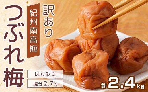 
                  【選べる発送月】 紀州南高梅 塩分約2.7% 大粒 訳ありつぶれ梅 はちみつ梅 400g×6個 2.4kg 減塩梅干し 紀州梅本舗【大粒 つぶれ梅 南高梅 ワケあり 梅干し お漬物 和歌山県 白浜町】
                