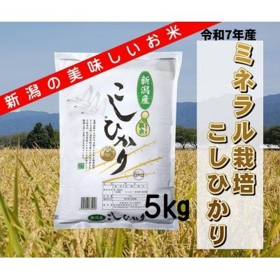 ふるさと納税 阿賀野市 【令和7年産】ミネラル栽培こしひかり 5kg