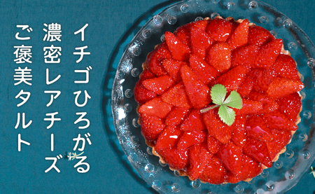 イチゴ たっぷり レアチーズタルト 手作り いちご 苺 チーズタルト フルーツタルト タルト ケーキ スイーツ ギフト 冷凍 お取り寄せ デザート 贈り物 贈答用 誕生日 バレンタイン ホワイトデー 