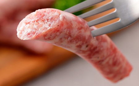 イタリア生まれの生ソーセージ サルシッチャ 計500g（250g×2種） 北海道産 牛 豚 肉 牛肉 豚肉 和牛 冷凍